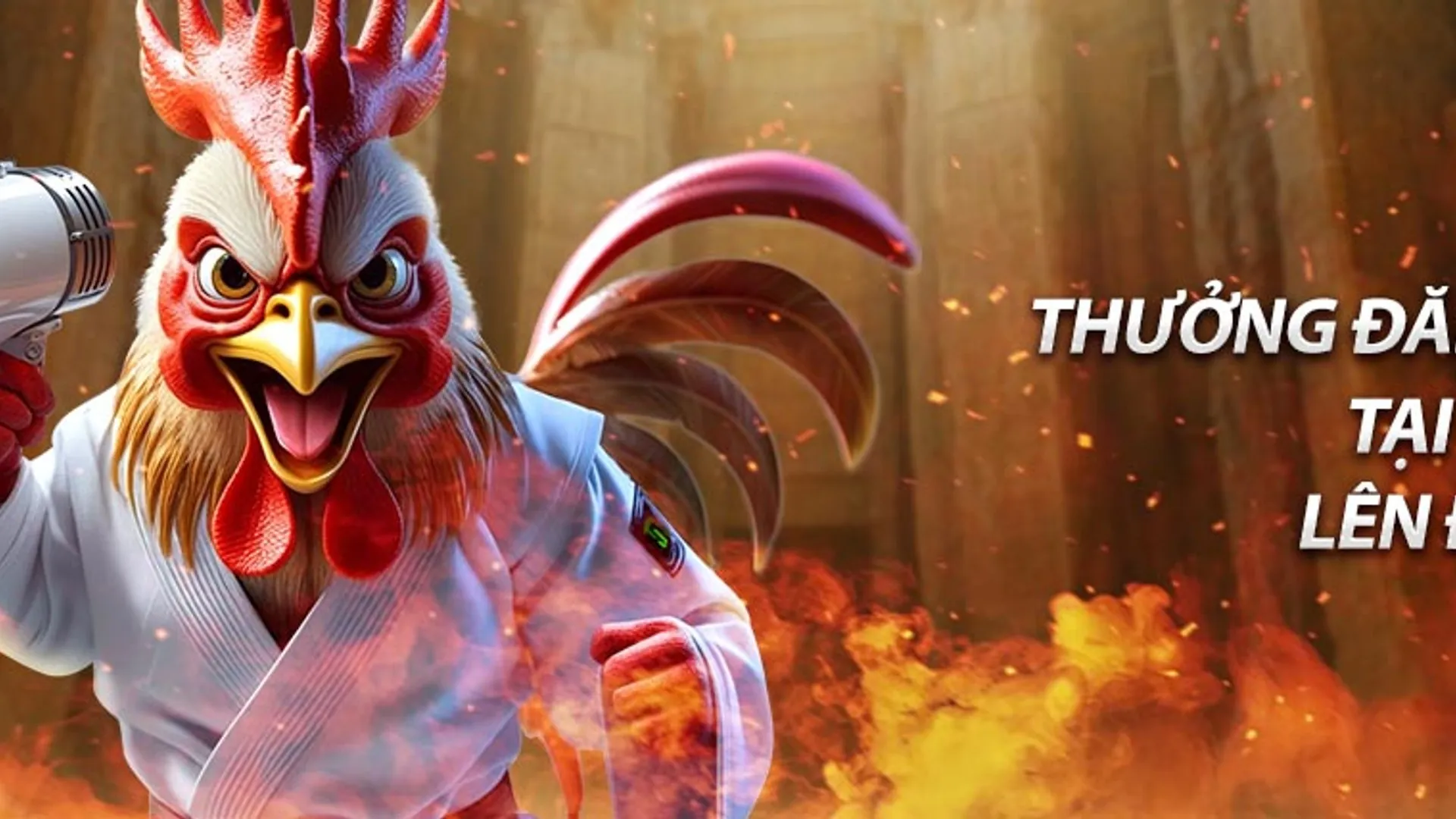 Hình ảnh tổng quan về các quy tắc tiền thưởng và khuyến mãi Bet88